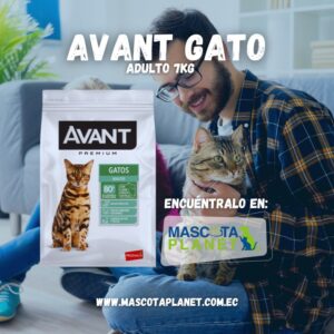 Avant Gato Adulto