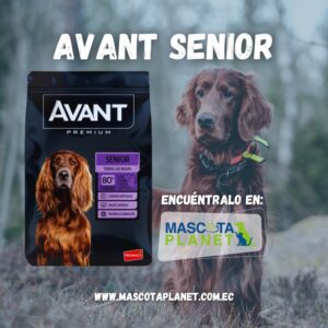 Avant Senior perros mayores de 7años