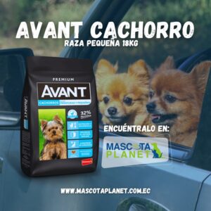 Avant Cachorro Raza Pequeña