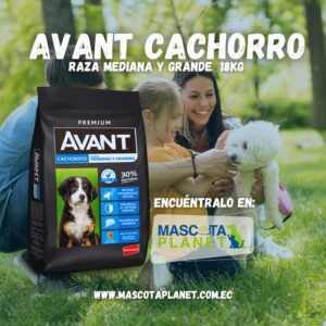 Avant Cachorro Raza Mediana y Grande