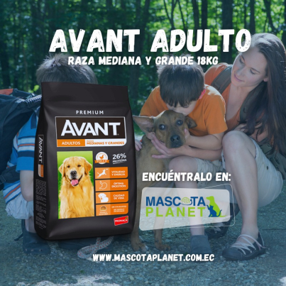 WhatsApp Image 2025-07-19 at 14.43.00