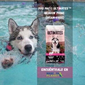 Pro Pac Cordero y Papa alimento libre de granos