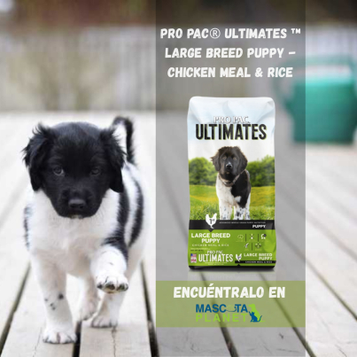 WhatsApp Image 2025-07-19 at 17.45.39