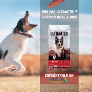 Pro Pac Chicken Meal & Rice (Pollo y arroz)