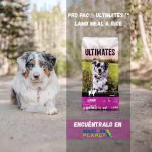 PRO PAC CORDERO Y ARROZ