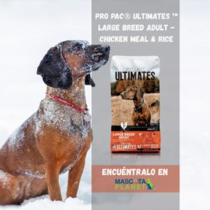 PRO PAC ADULTO RAZA GRANDE