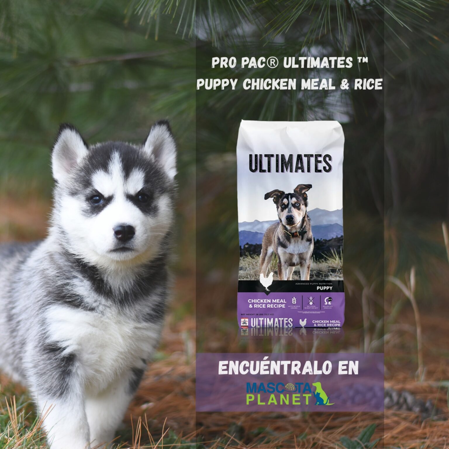 Chicken Pac Pac PRO PAC PUPPY PUPPY CHICKEN MEAL & RICE (POLLO Y ARROZ)