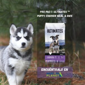 PRO PAC PUPPY PUPPY CHICKEN MEAL & RICE (POLLO Y ARROZ)