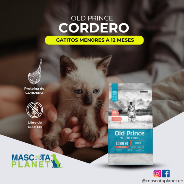 WhatsApp Image 2025-07-19 at 6.27.55 PM