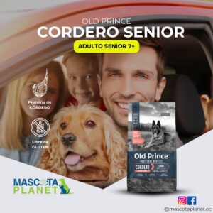 OLD PRINCE ADULTO SENIOR