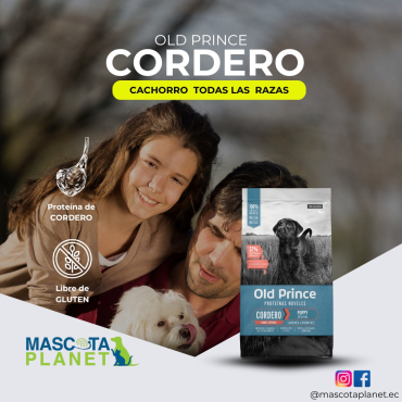 WhatsApp Image 2025-07-19 at 6.38.55 PM