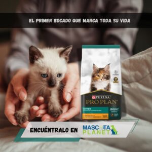 PRO PLAN GATO KITTEN