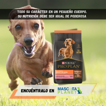 WhatsApp Image 2025-07-22 at 14.26.55