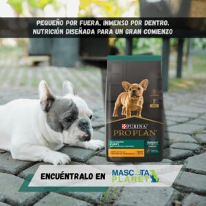PRO PLAN CACHORRO RAZA PEQUEÑA