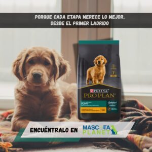 PRO PLAN CACHORRO RAZA MEDIANA Y GRANDE