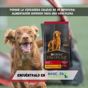 PRO PLAN ADULTO RAZA MEDIANA