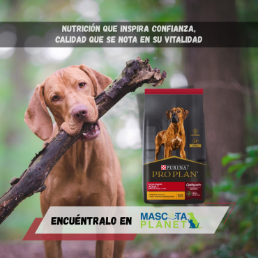 WhatsApp Image 2025-07-22 at 15.14.56