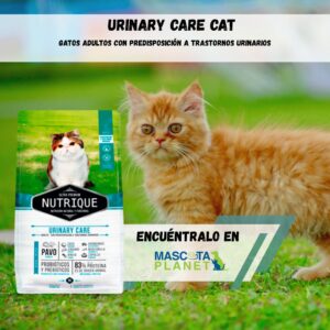 NUTRIQUE URINARY CARE CAT ADULTO