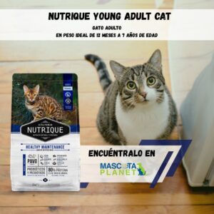 NUTRIQUE ADULT CAT HEALTHY MAINTENANCE