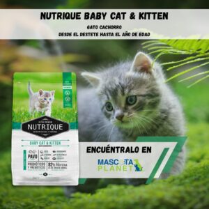 NUTRIQUE BABY CAT & KITTEN
