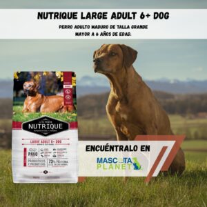 NUTRIQUE LARGE ADULT 6+ (proteína de pavo)