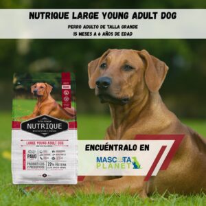 NUTRIQUE LARGE YOUNG ADULT DOG (proteína de pollo)
