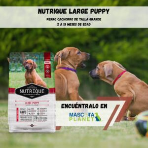 NUTRIQUE LARGE PUPPY (proteína de pavo)