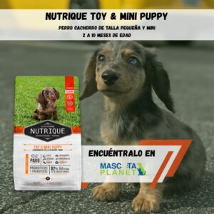 NUTRIQUE TOY & MINI PUPPY (proteína de pavo)