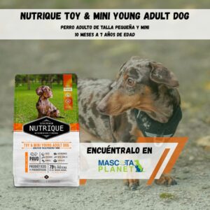 NUTRIQUE TOY & MINI YOUNG ADULT DOG (Proteína de pavo)
