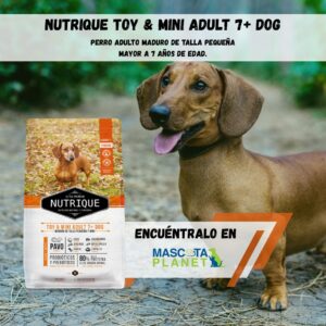 NUTRIQUE PERRO TOY & MINI ADULT 7+ (Proteína de pavo)