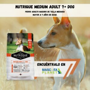 NUTRIQUE MEDIUM ADULT 7+ DOG SENIOR