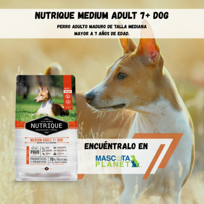 WhatsApp Image 2025-07-22 at 17.02.15