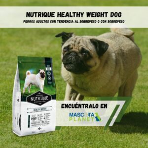 NUTRIQUE HEALTHY WEIGHT – DOG