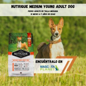 NUTRIQUE MEDIUM YOUNG ADULT DOG (proteína de pavo)