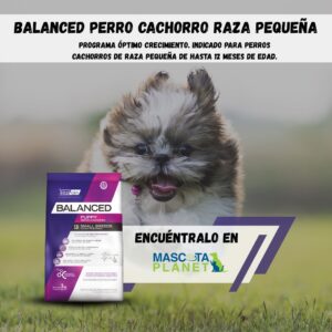 Balanced Cachorro Raza Pequeña (Alimento super premium)