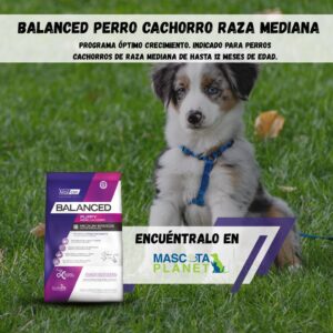 Balanced Cachorro Raza Mediana (Alimento super premium)