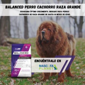 Balanced Cachorro Raza Grande (Alimento super premium)