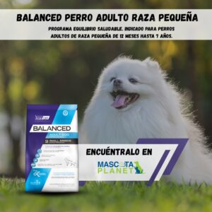 Balanced Adulto Raza Pequeña (Alimento super premium)