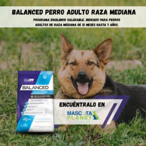 Balanced Adulto raza mediana (Alimento super premium)