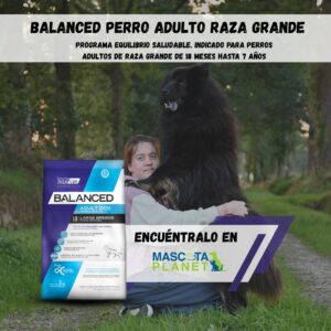 Balanced Adulto Raza Grande (Alimento super premium)