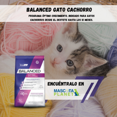 WhatsApp Image 2025-07-24 at 15.45.33