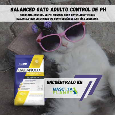 WhatsApp Image 2025-07-24 at 15.57.50