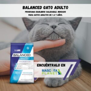 BALANCED CAT ADULT