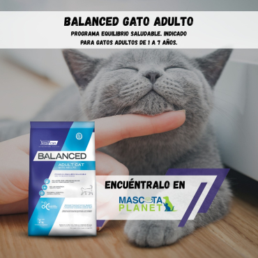 WhatsApp Image 2025-07-24 at 15.58.01