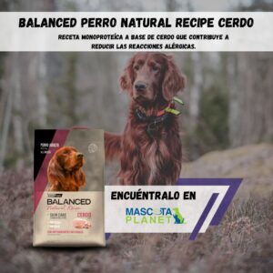 Balanced Natural Recipe Cerdo y Arroz (Alimento super premium)