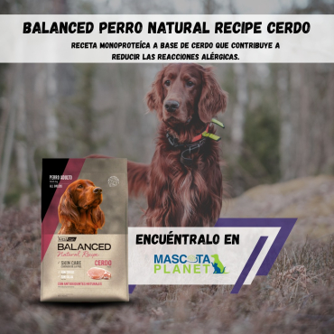 WhatsApp Image 2025-07-24 at 16.07.00