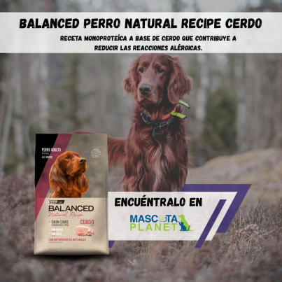 WhatsApp Image 2025-07-24 at 16.07.00