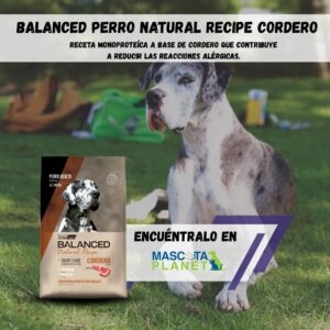 Balanced Natural Recipe Cordero (Alimento super premium)