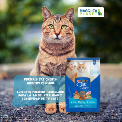 WhatsApp Image 2025-07-24 at 16.20.26