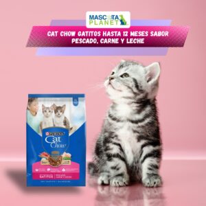 CAT CHOW GATITOS